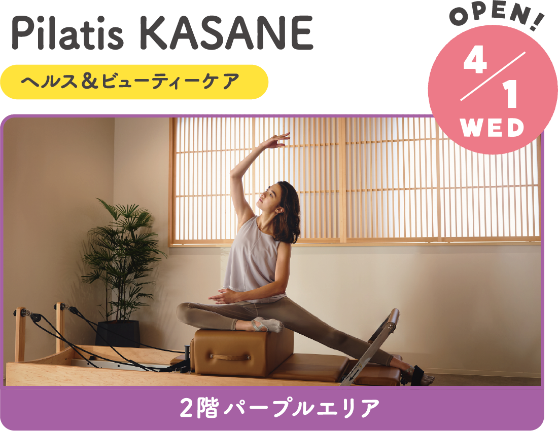 4.1WED　NEW!　Pilatis KASANE